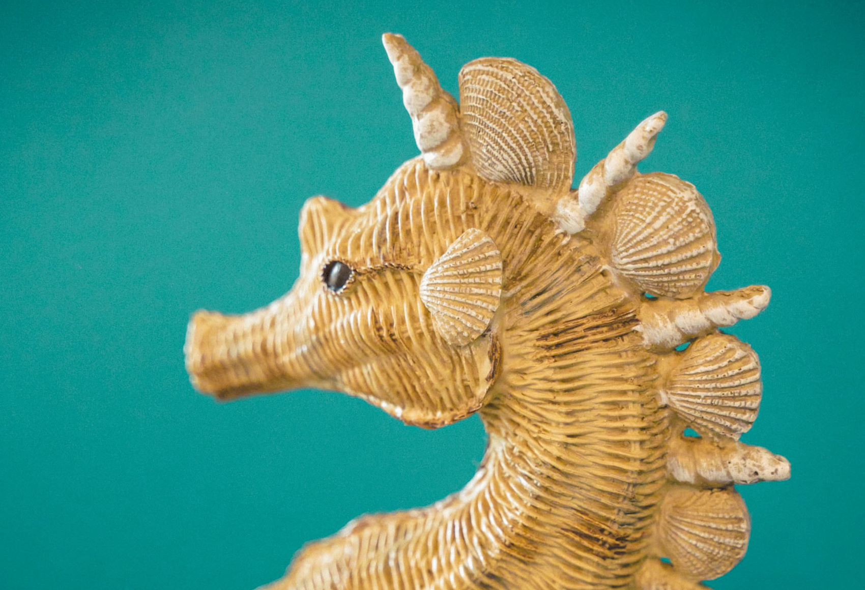 Untitled-1700-x-1160-px-2-1.png